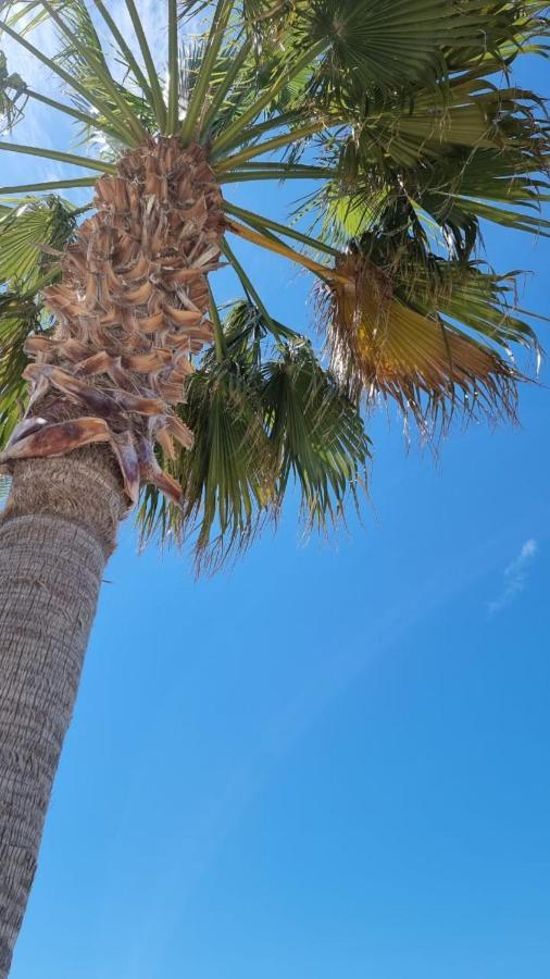 Odri Apartment Vlorë 外观 照片